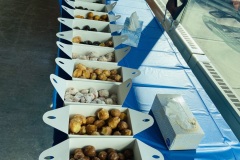 Donuts Lined up